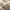 A Softer Reality Available From 27 August 2026 (32)