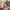 Sostrene Grene Christmas Preview Available From October 2025 (1)