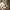 A Softer Reality Available From 27 August 2026 (61)