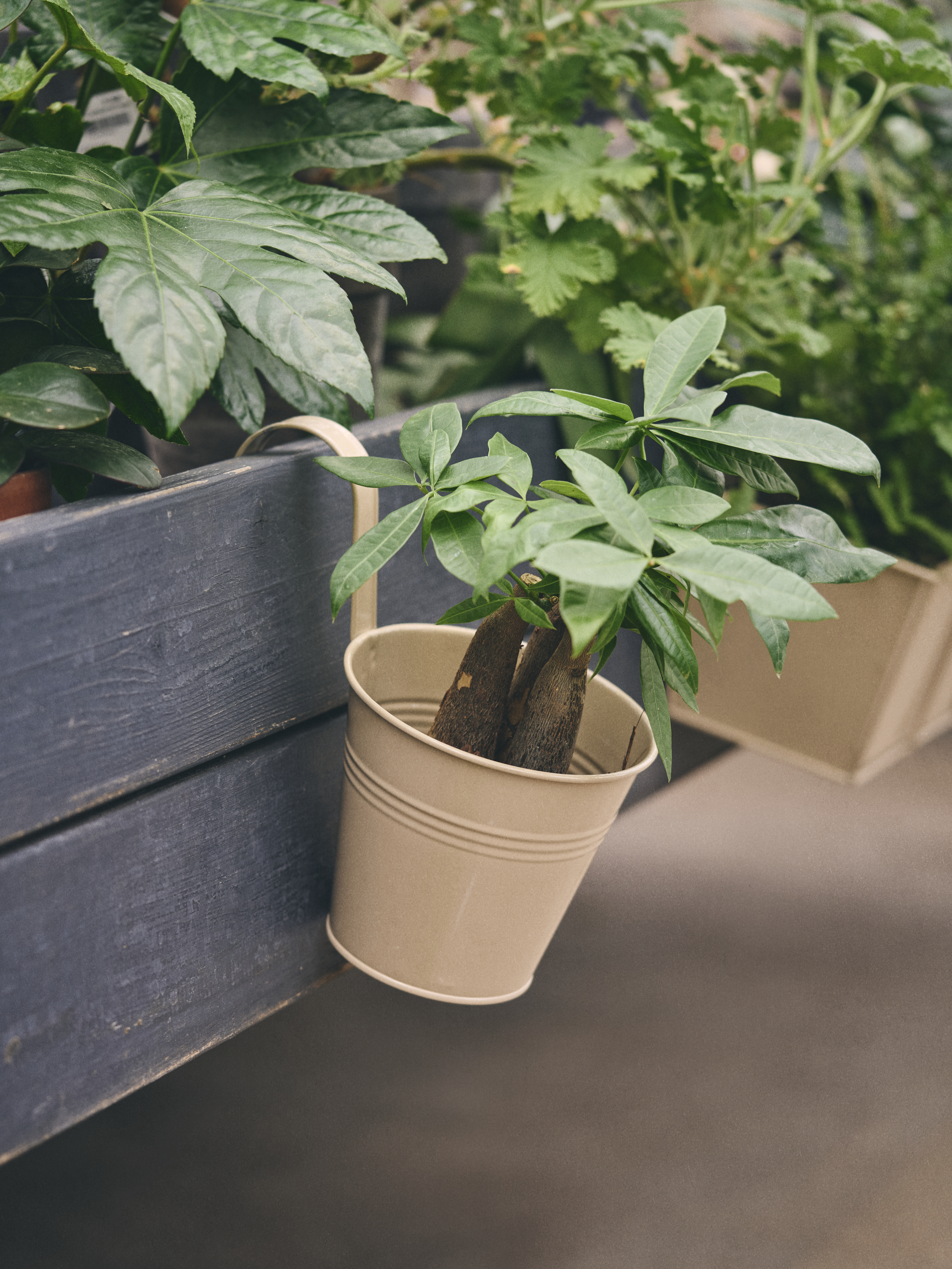 Available From 19 March 2026 Outdoor Living Sostrene Grene (57)