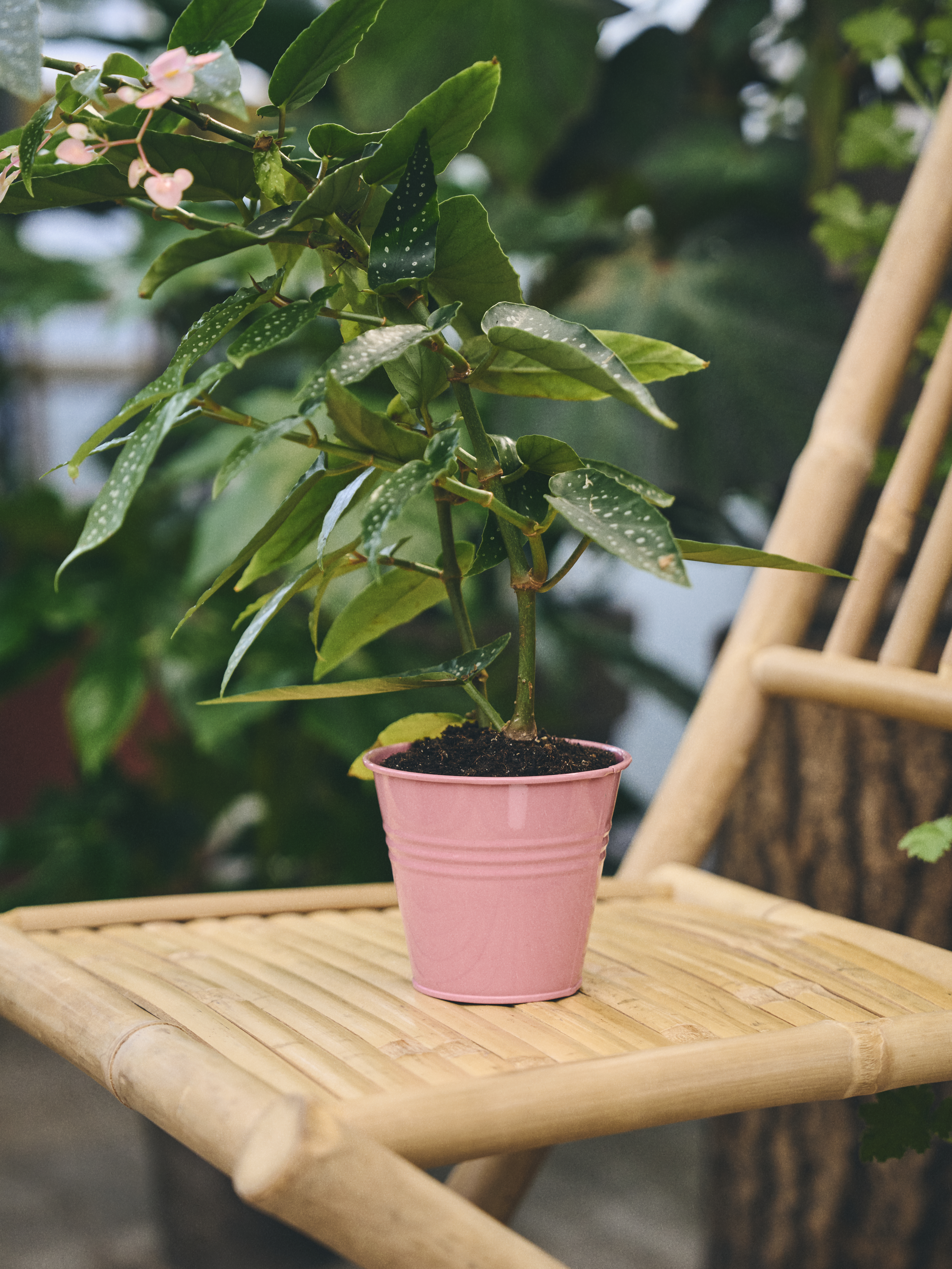 Available From 19 March 2026 Outdoor Living Sostrene Grene (27)