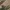 Sostrene Grene Christmas Preview Available From October 2026 (16)