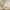 A Softer Reality Available From 27 August 2026 (43)_AI-modified content