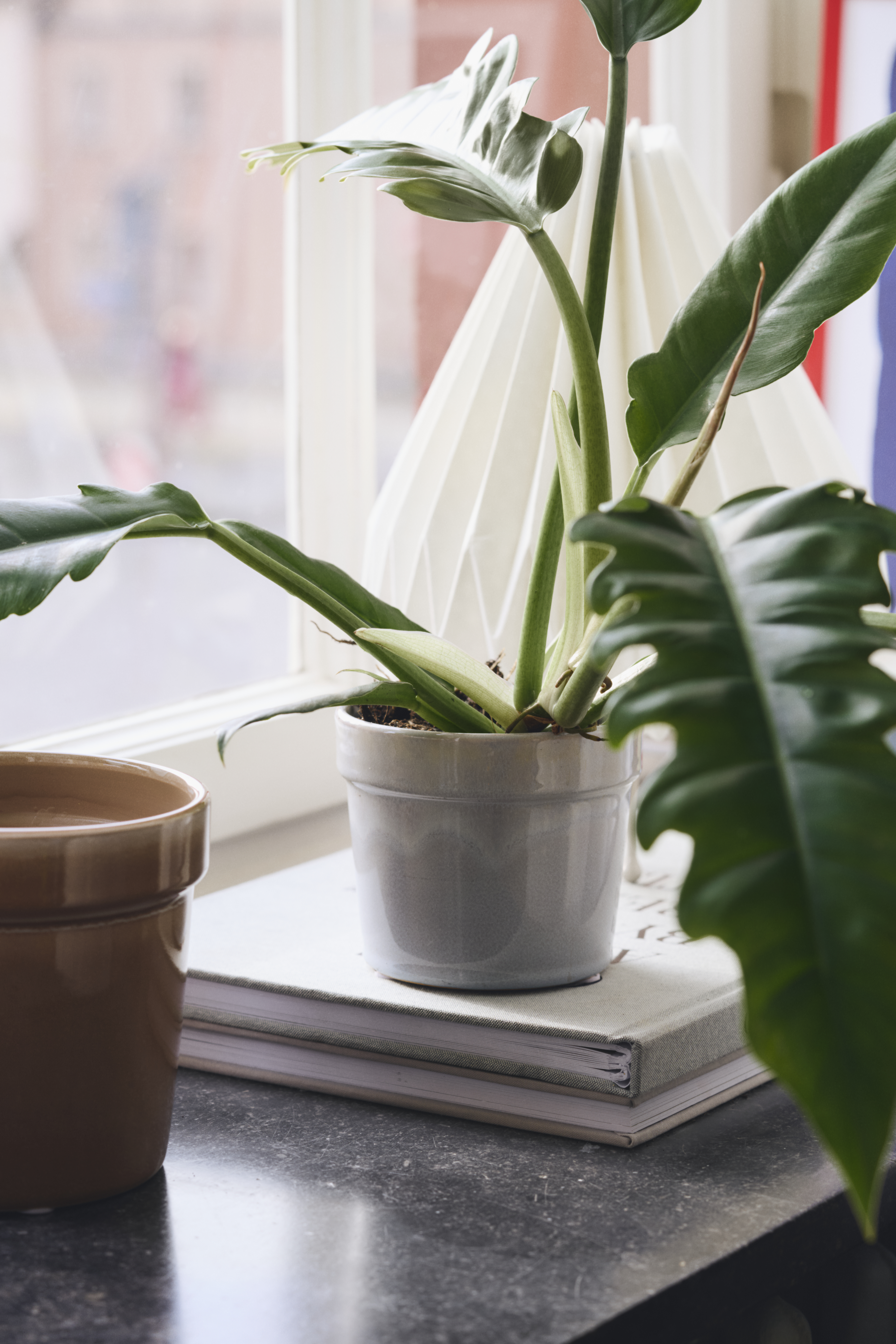 Spring Collection Sostrene Grene Available From 29 January 2026 (142)