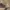A Softer Reality Available From 27 August 2026 (112)