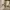 A Softer Reality Available From 27 August 2026 (70)_AI-modified content