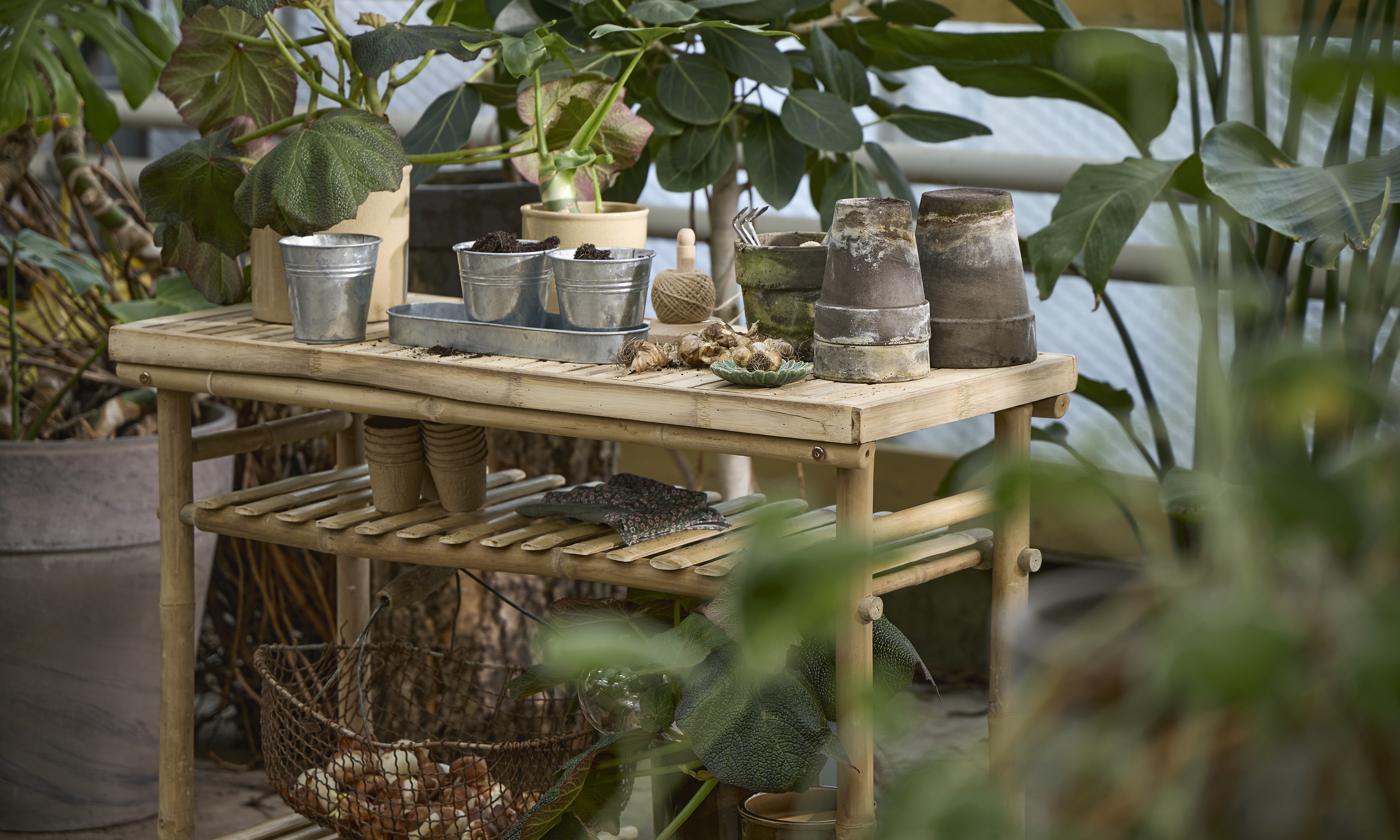 Spring Preparations Sostrene Grene Available From 5 March 2026 (66)