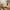 Sostrene Grene Marketing Images (12)