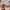 Sostrene Grene Marketing Images (29)