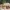 A Softer Reality Available From 27 August 2026 (8)