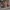 Sostrene Grene Christmas Preview Available From October 2026 (40)