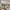 New Artificial Flowers Sostrene Grene Available From 31 July 2025 (1)