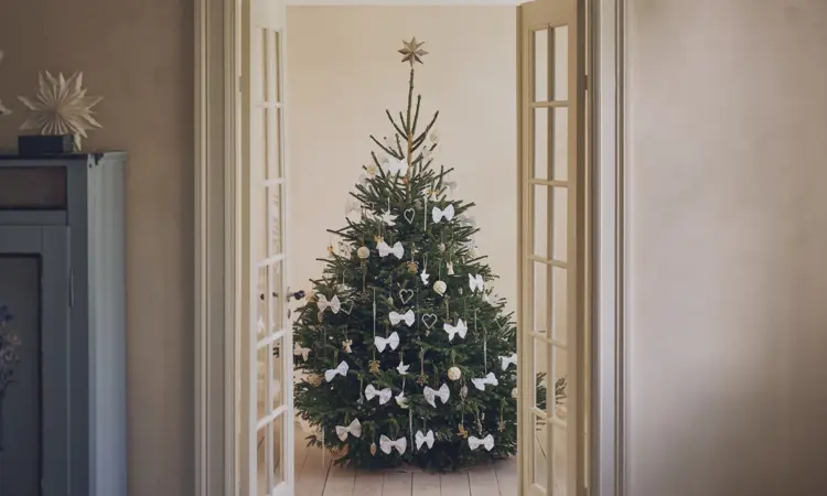 Christmas Collection Sostrene Grene 2025 (2) (1 1)