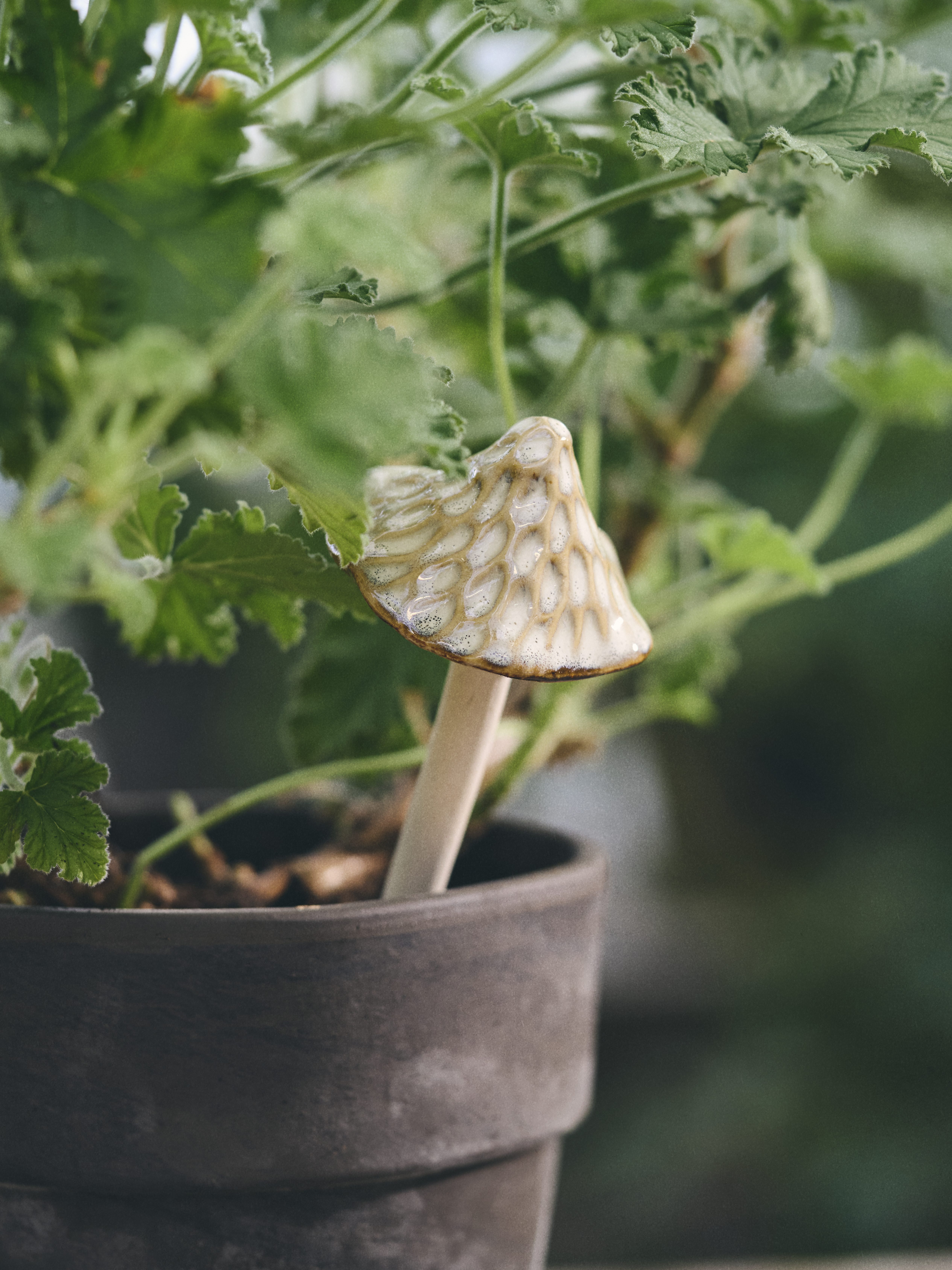 Available From 19 March 2026 Outdoor Living Sostrene Grene (21)