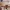 Sostrene Grene Marketing Images (11)