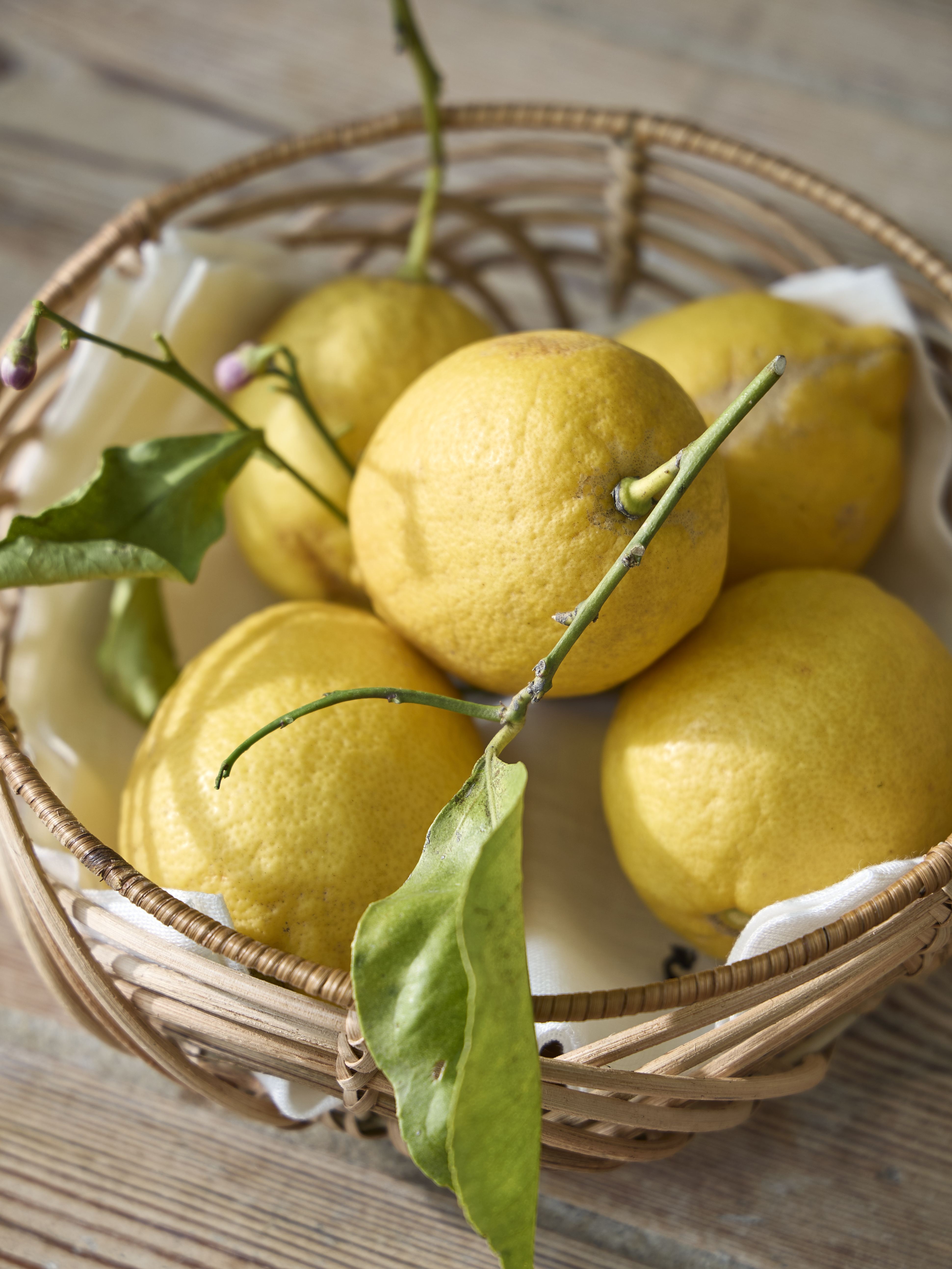 Cosy Summer Picnics Sostrene Grene Available From 30 April (40)