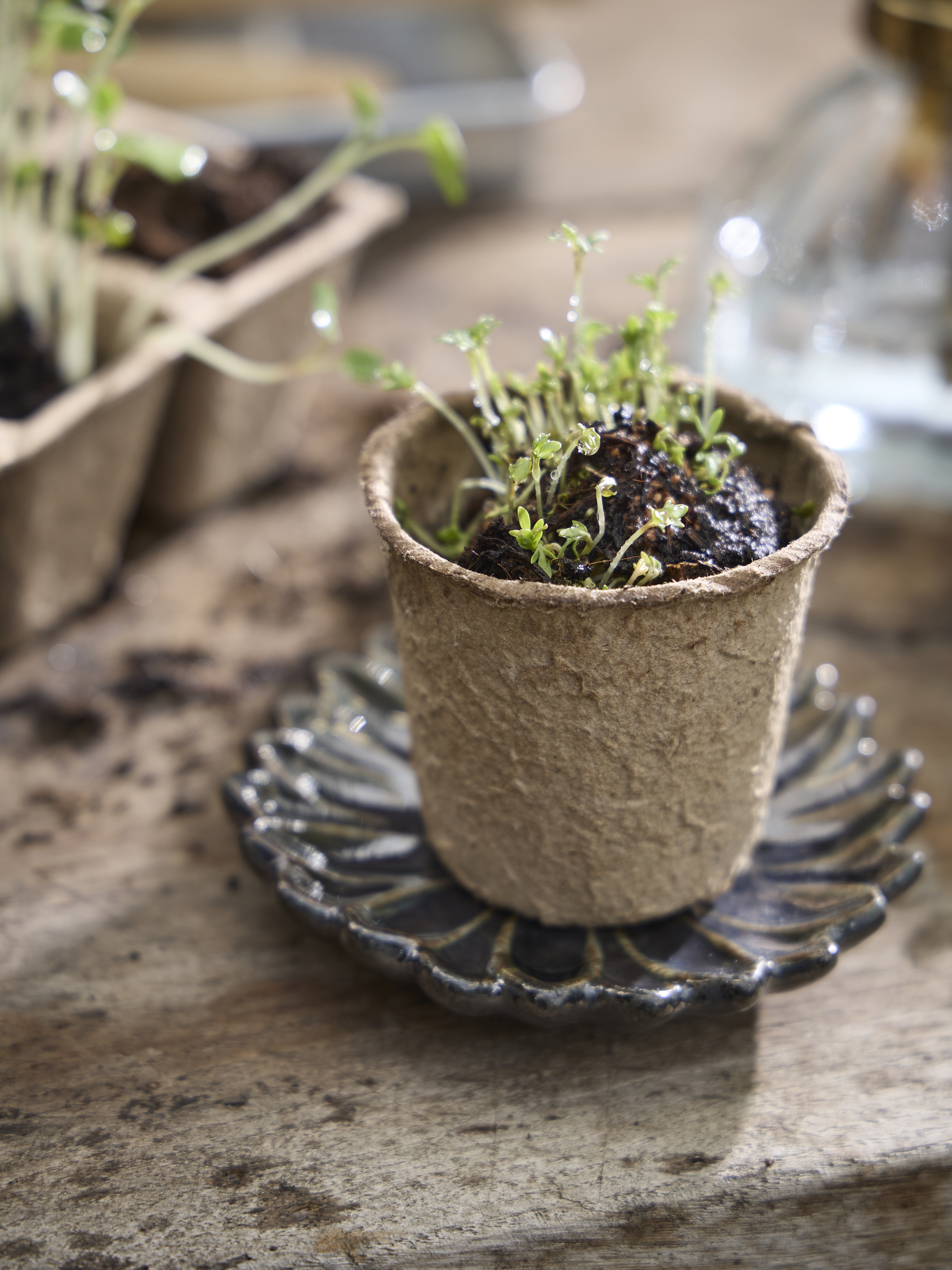 Available From 5 March 2026 Spring Preparations Sostrene Grene (43)