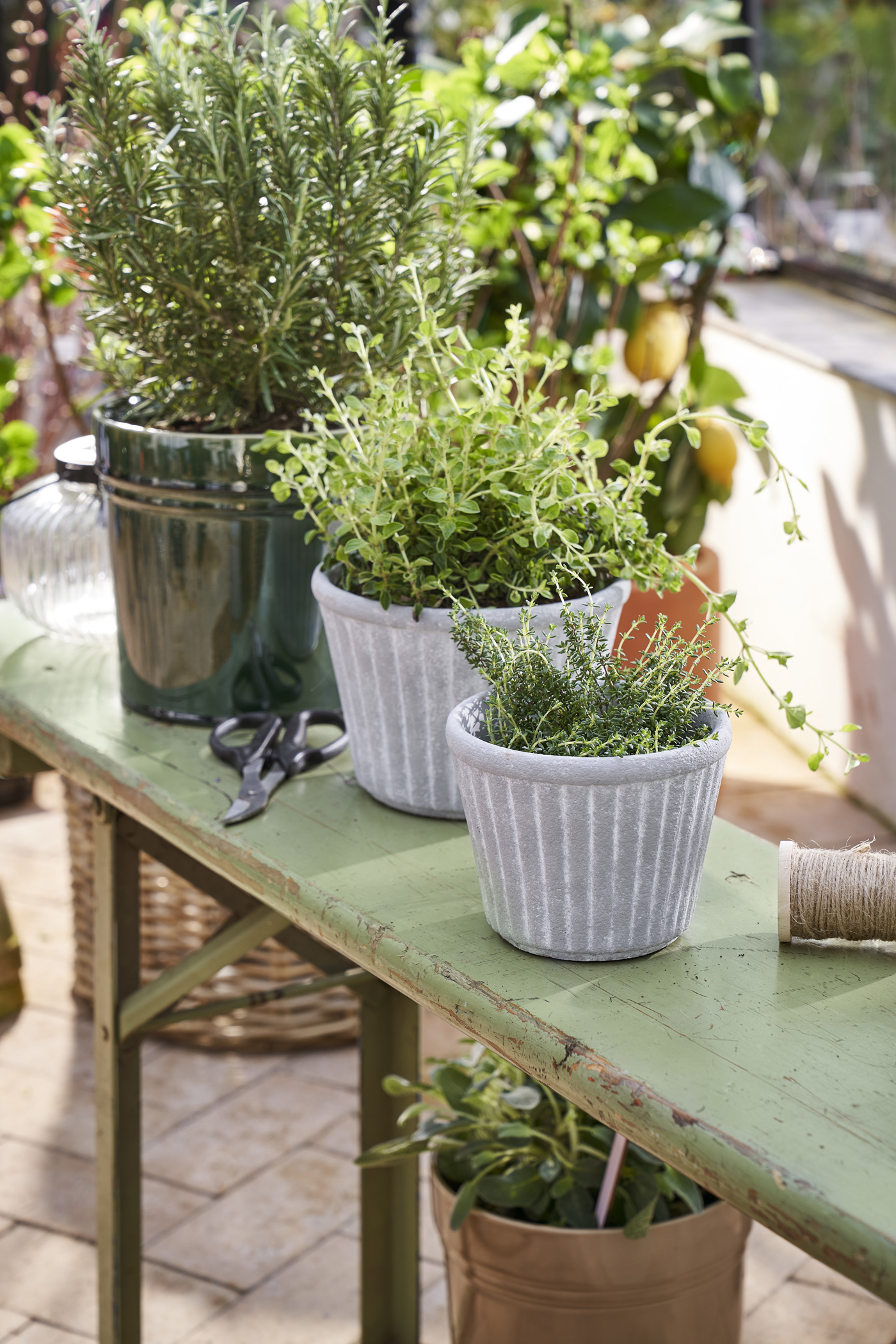 Let The Garden Speak To The Senses (4)