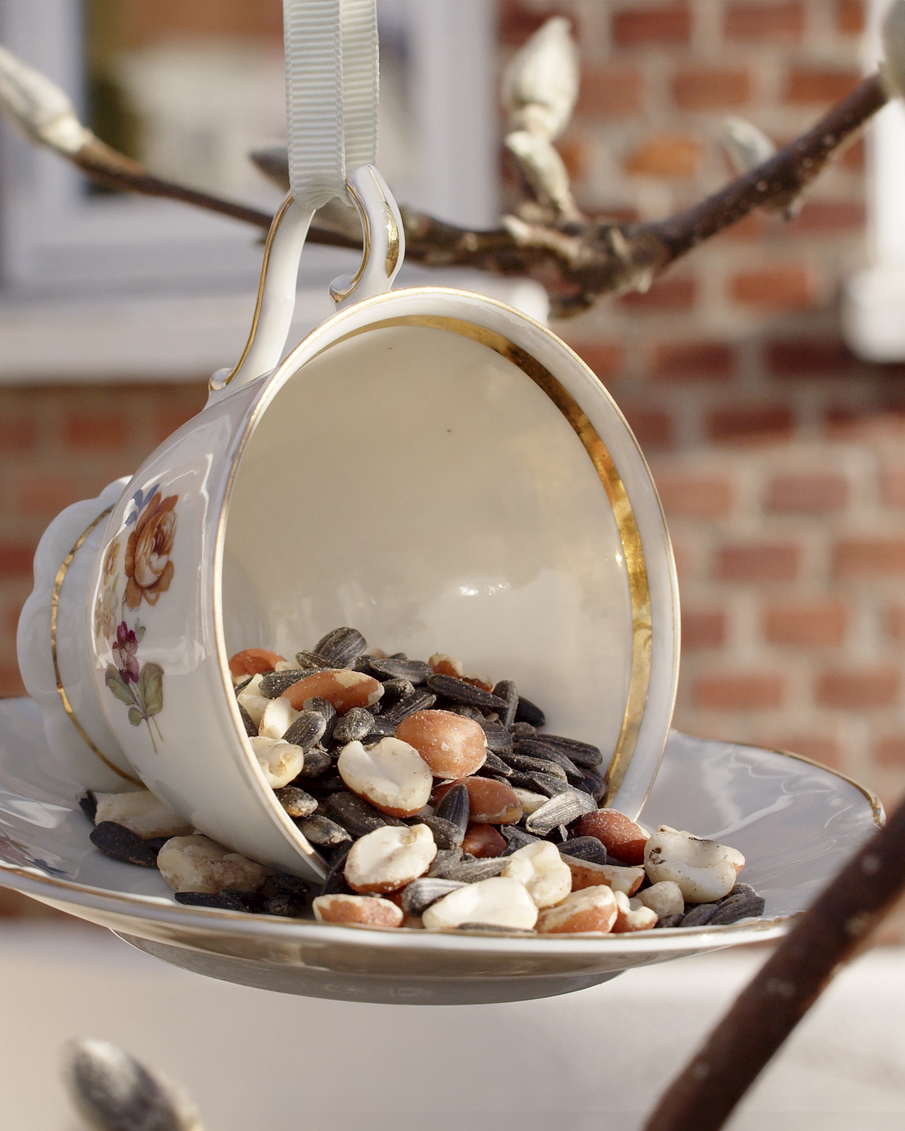 Bird Feed In A Cup (2)