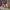 Christmas Table Sostrene Grene Available 6 November 2025 (9)