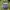 Decorative Flowerpot Birdbath 1