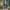 A Softer Reality Available From 27 August 2026 (29)