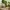 Social Dining Sostrene Grene Available From 2 July (44)