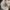 Sostrene Grene Christmas Preview Available From October 2026 (12)