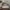 A Softer Reality Available From 27 August 2026 (152)