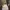 A Softer Reality Available From 27 August 2026 (60)