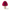 522303 001 Pack A