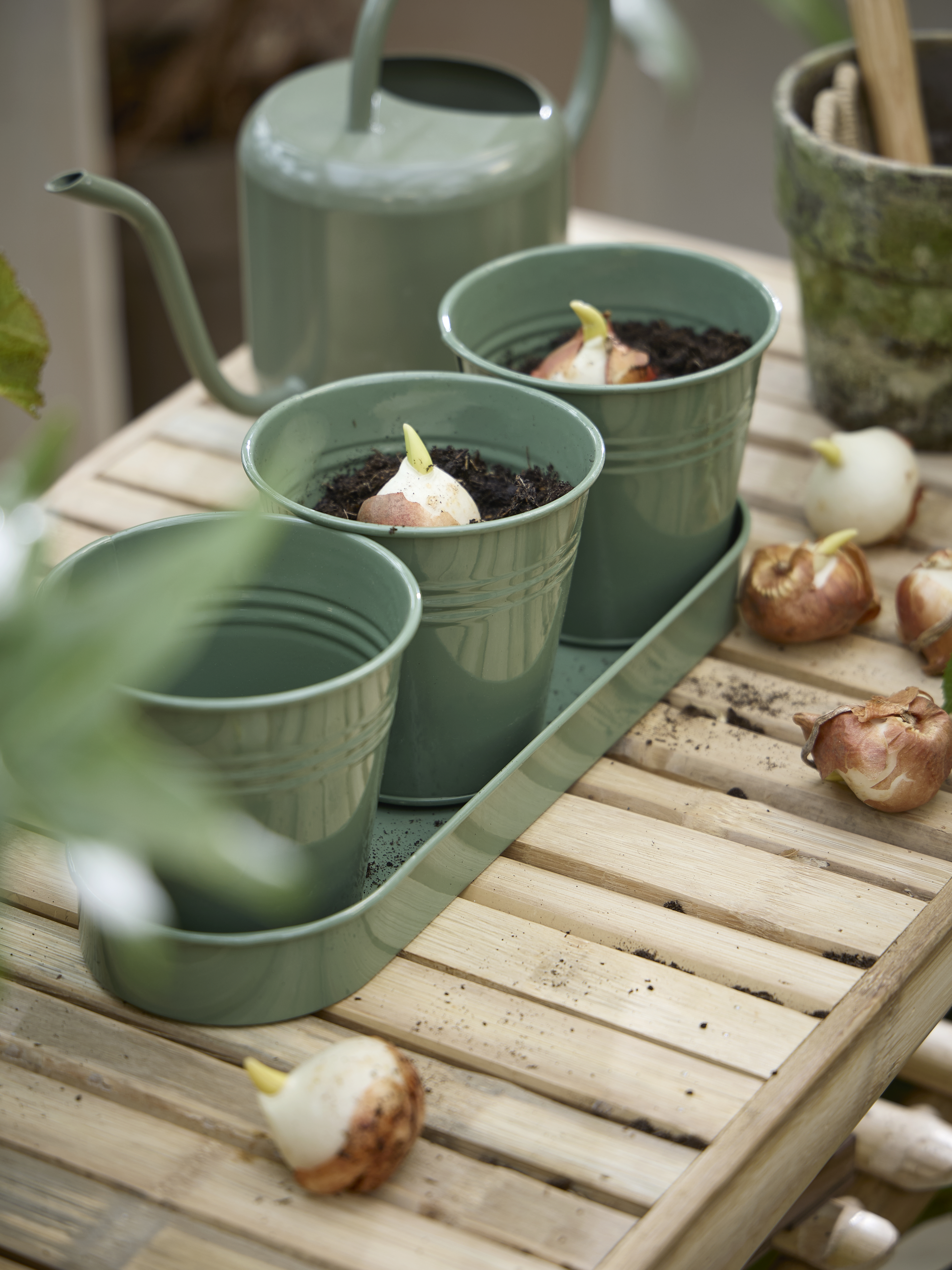 Spring Preparations Sostrene Grene Available From 5 March 2026 (13)