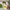 Social Dining Sostrene Grene Available From 2 July (49)