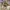 A Softer Reality Available From 27 August 2026 (116)
