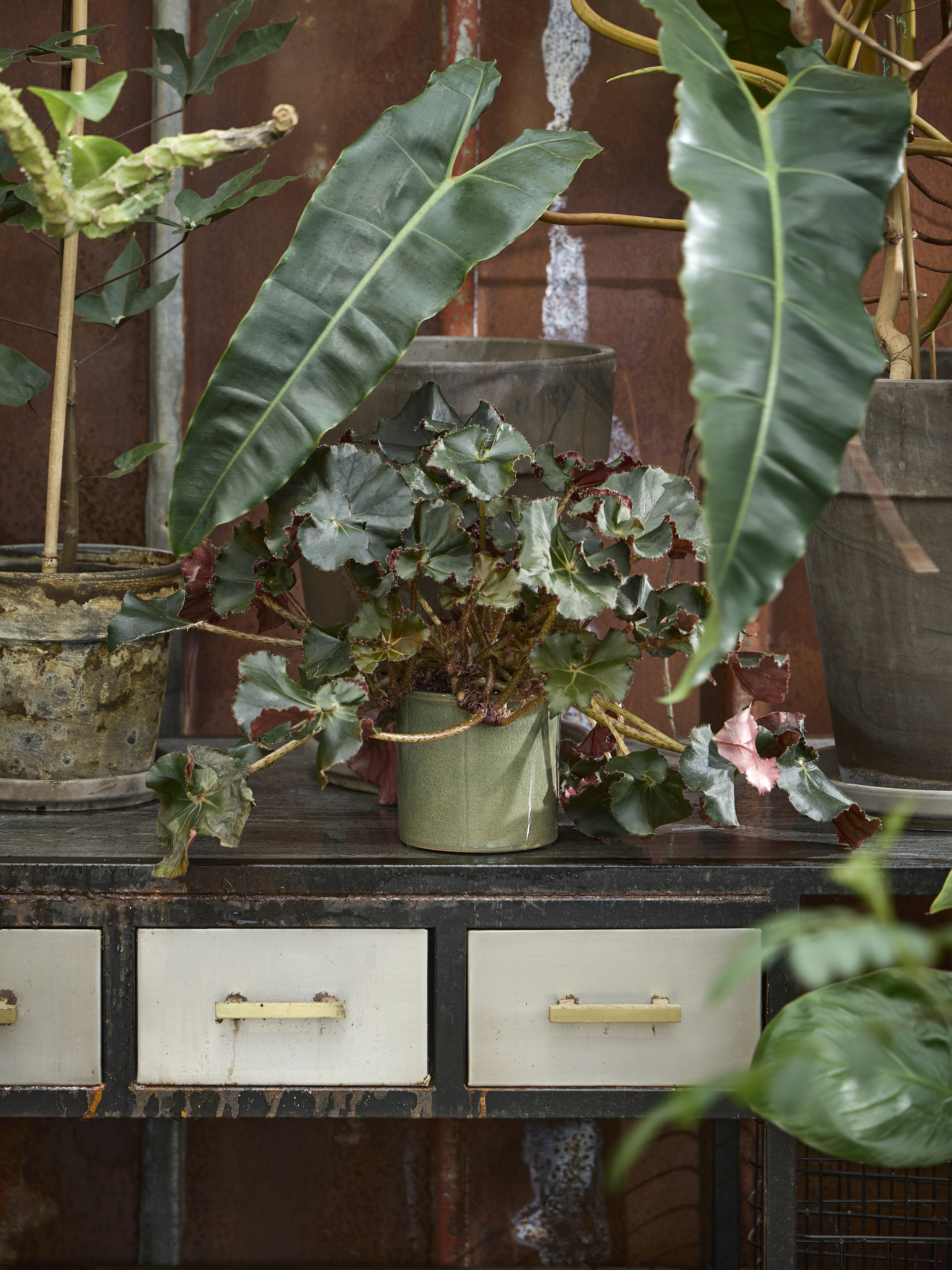 Spring Preparations Sostrene Grene Available From 5 March 2026 (11)