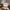 A Softer Reality Available From 27 August 2026 (49)