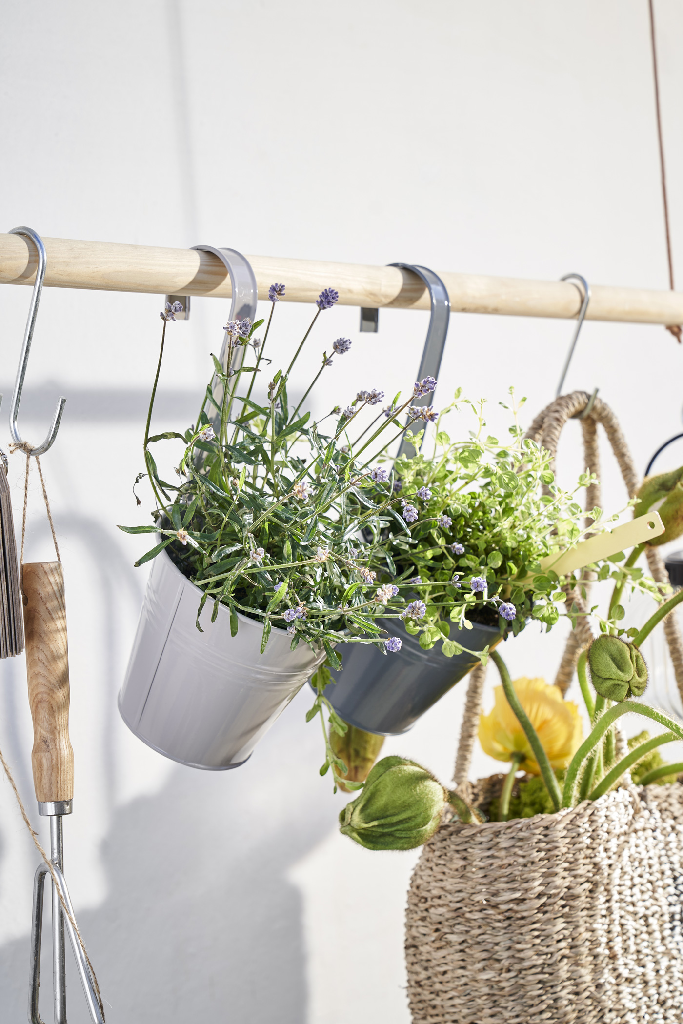 Let The Garden Speak To The Senses (7)