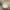 A Softer Reality Available From 27 August 2026 (92)