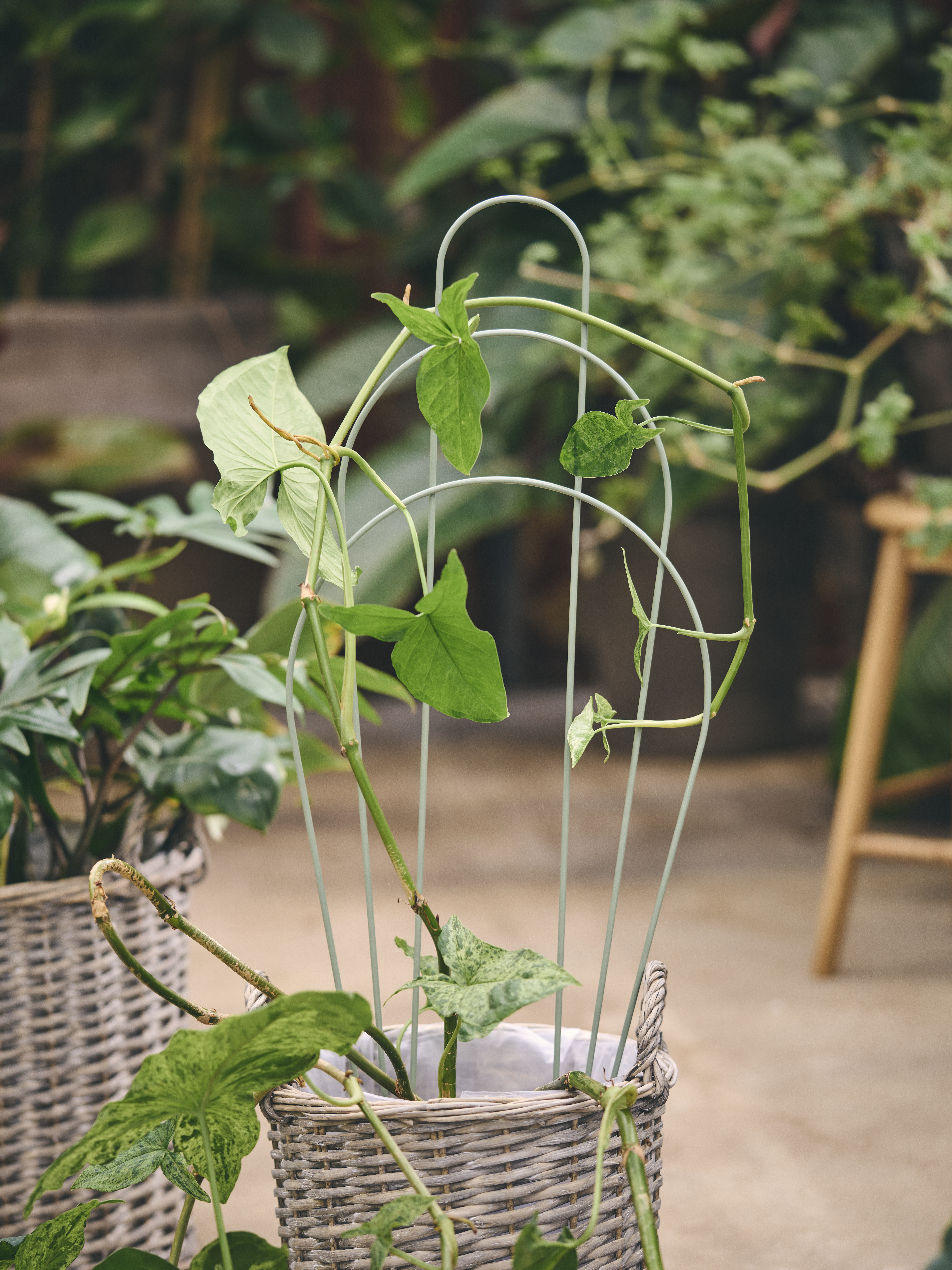 Available From 19 March 2026 Outdoor Living Sostrene Grene (54)