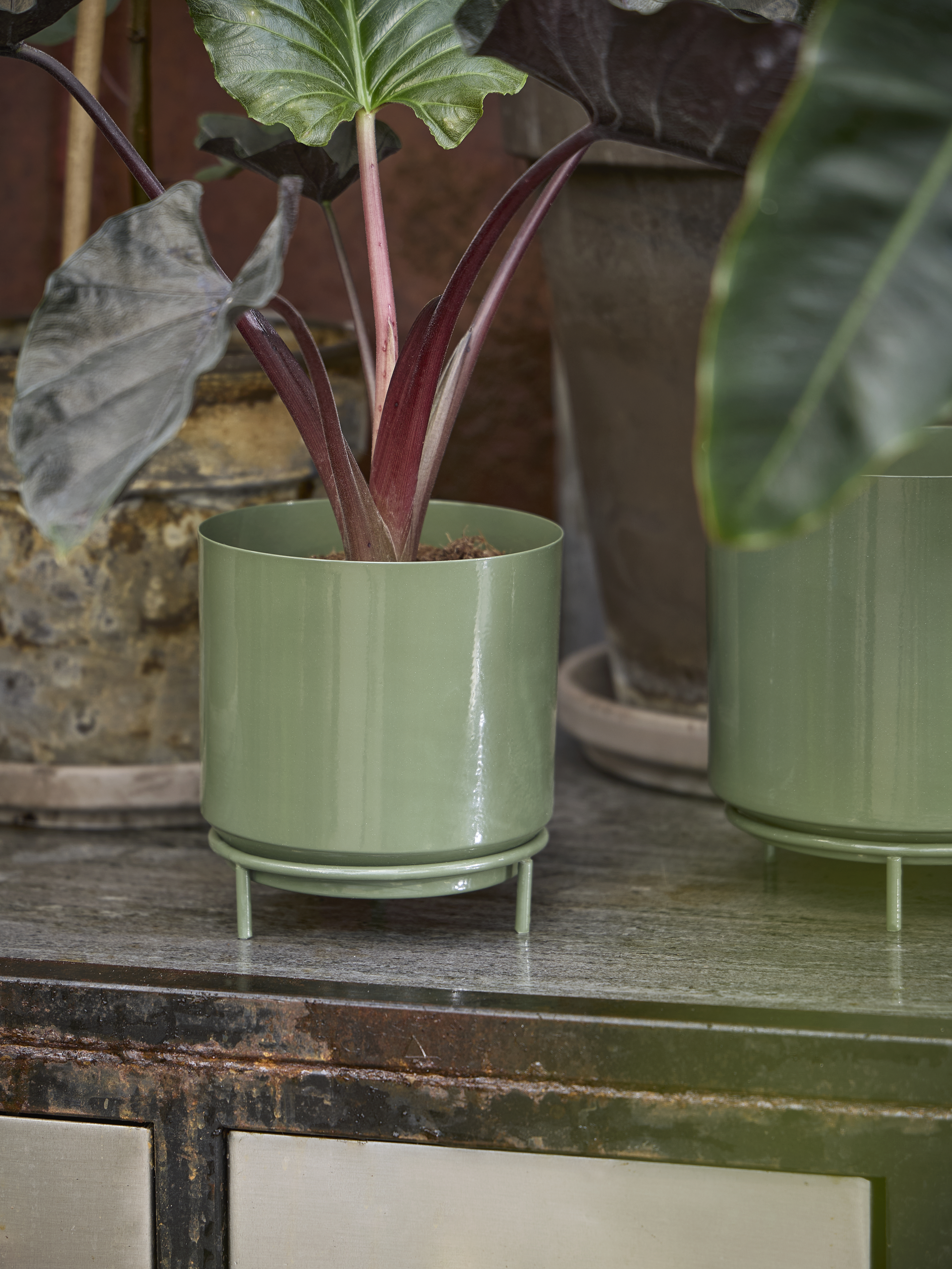 Spring Preparations Sostrene Grene Available From 26 February 2026 (53)