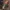 Sostrene Grene Christmas Preview Available From October 2025 (30)