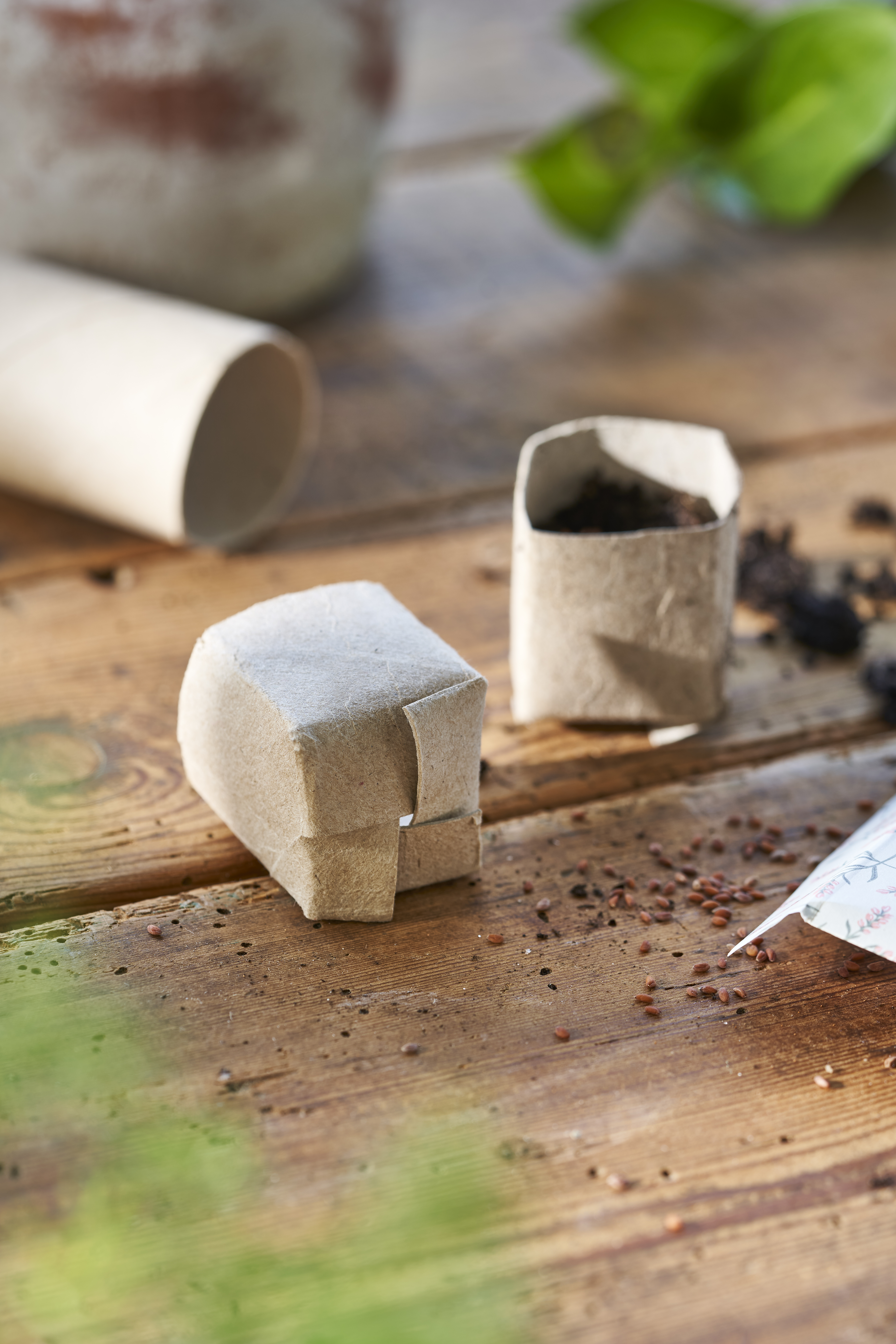 Guide For Pre Sprouting (8)