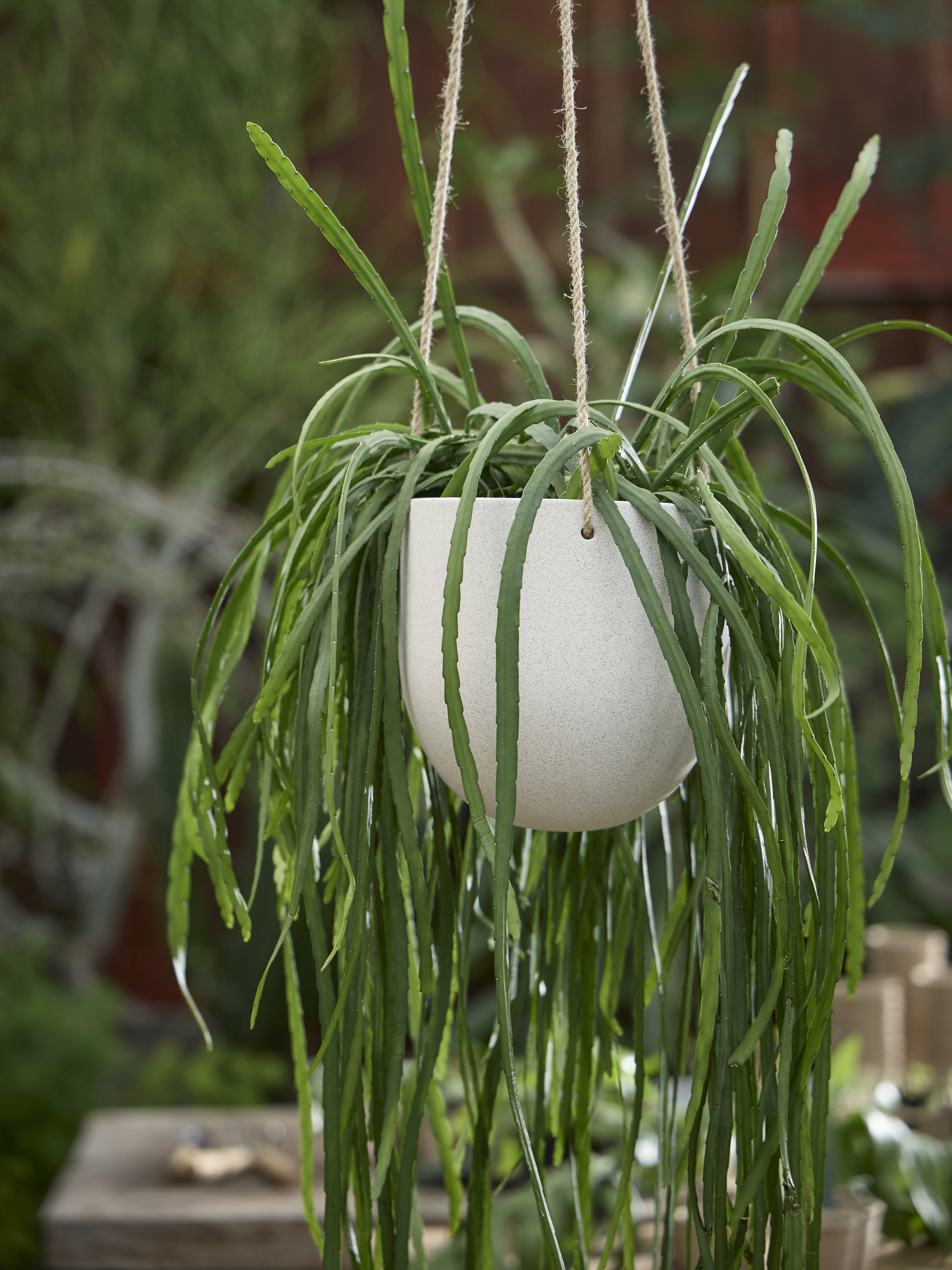 Available From 5 March 2026 Spring Preparations Sostrene Grene (60)