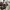 New Artificial Flowers Sostrene Grene Available From 31 July 2025 (16)
