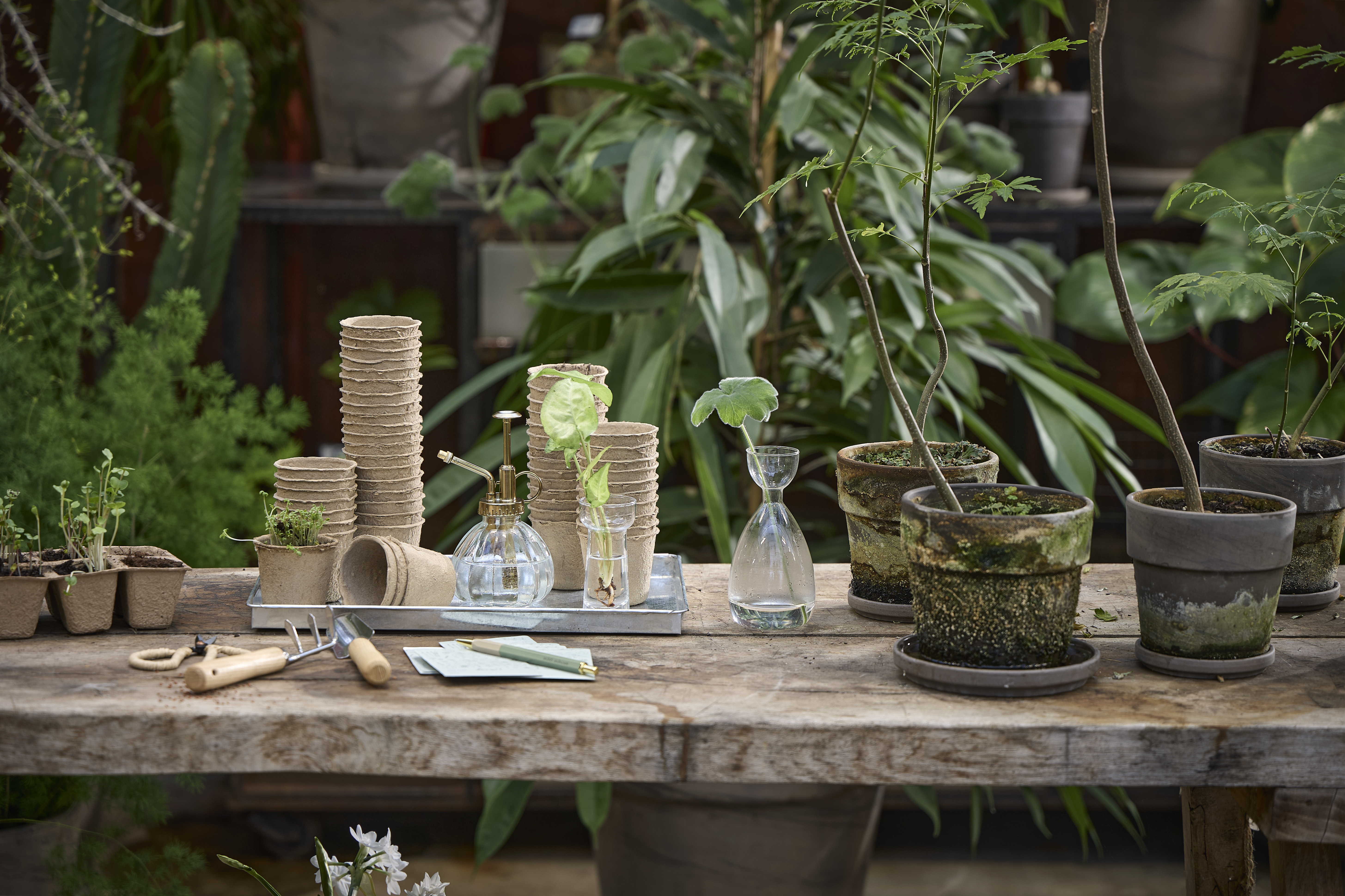 Available From 5 March 2026 Spring Preparations Sostrene Grene (68)