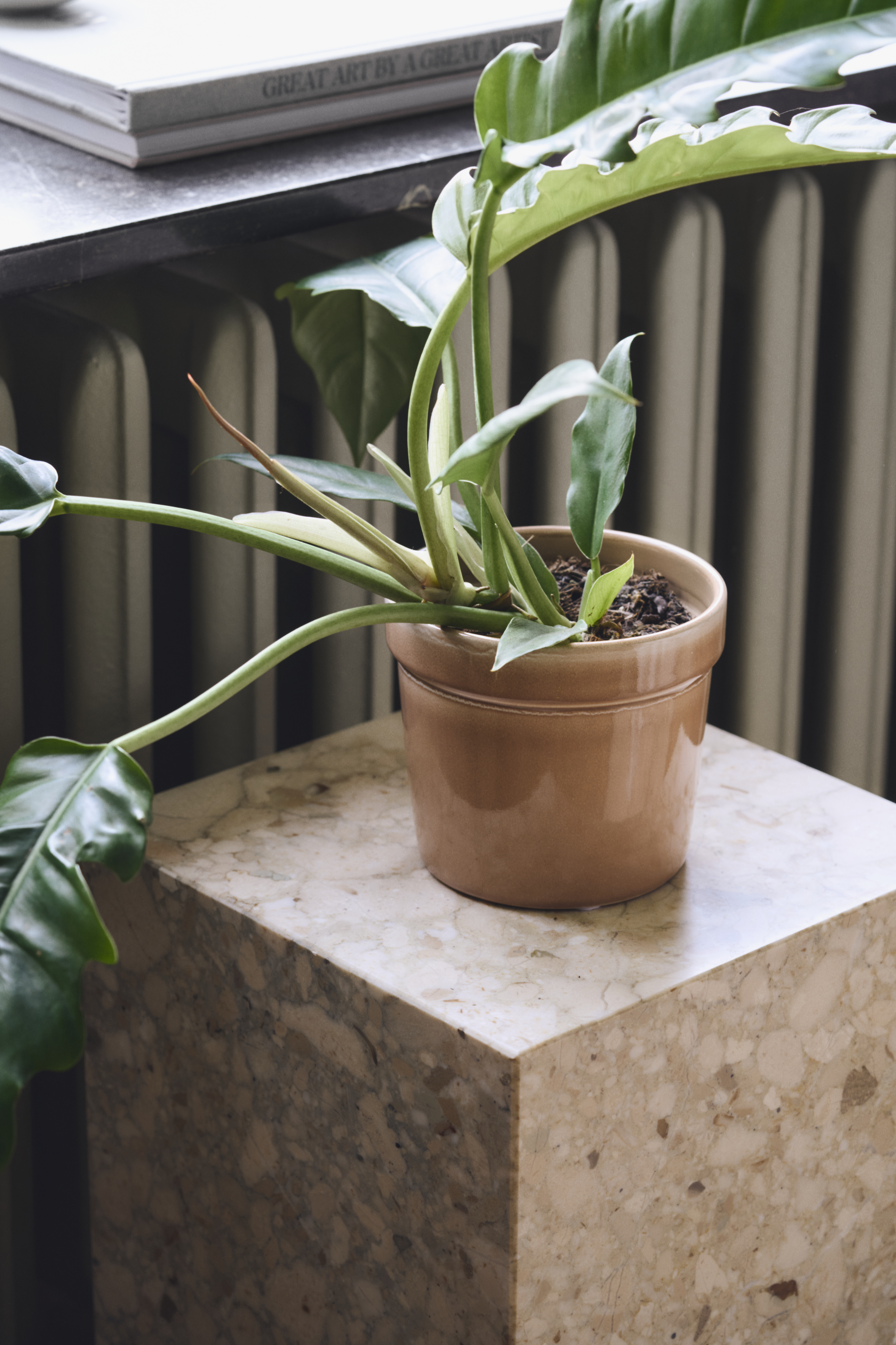 Spring Collection Sostrene Grene Available From 29 January 2026 (141)