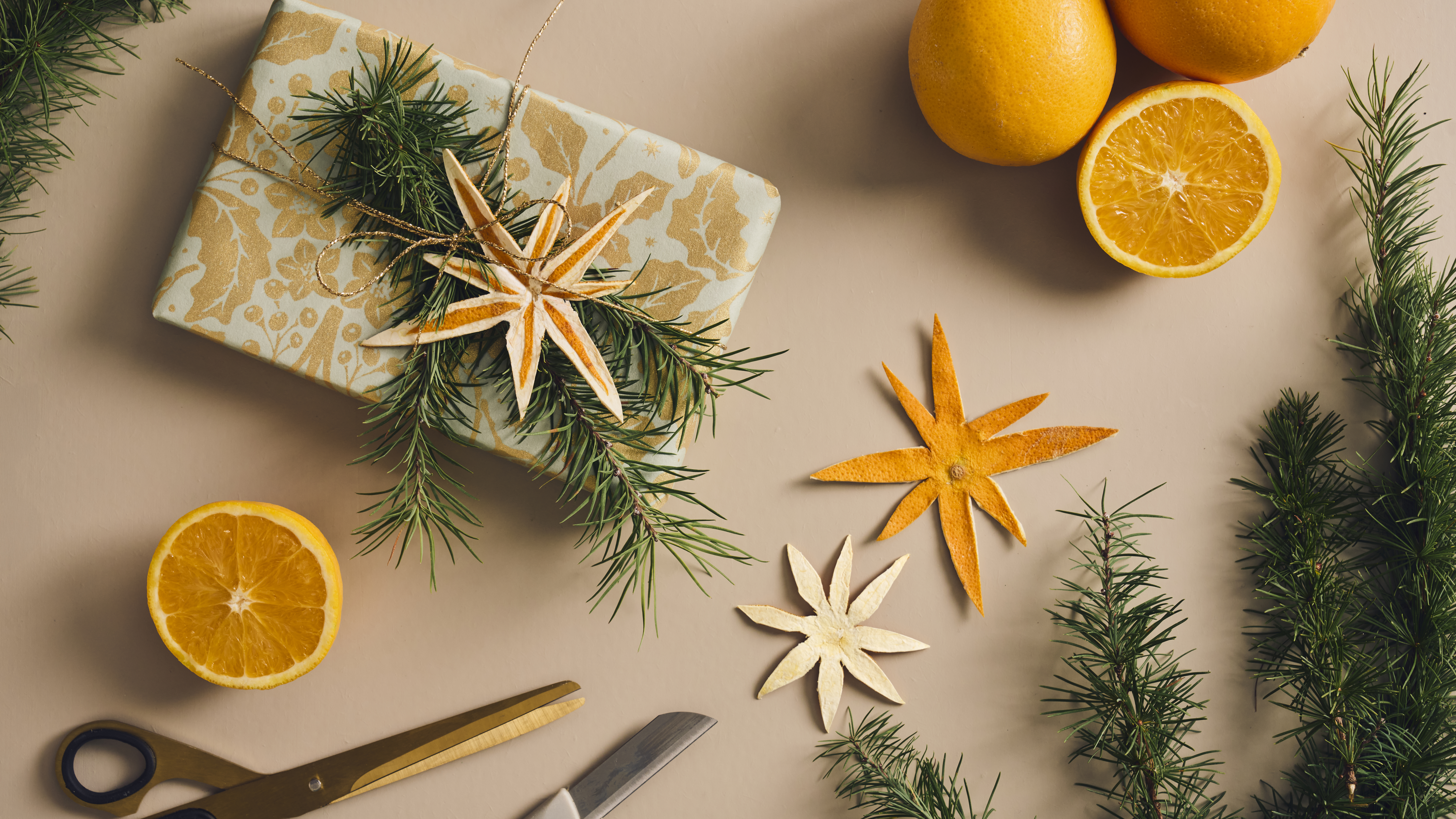 Dried Orange Decorations (2)