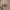 Sostrene Grene Christmas Preview Available From October 2026 (2)