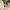 A Softer Reality Available From 27 August 2026 (15)