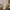 A Softer Reality Available From 27 August 2026 (52)